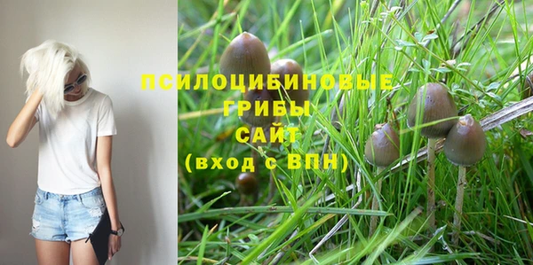 таблы Алексеевка