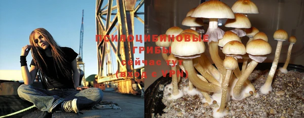 кокаин колумбия Алексин