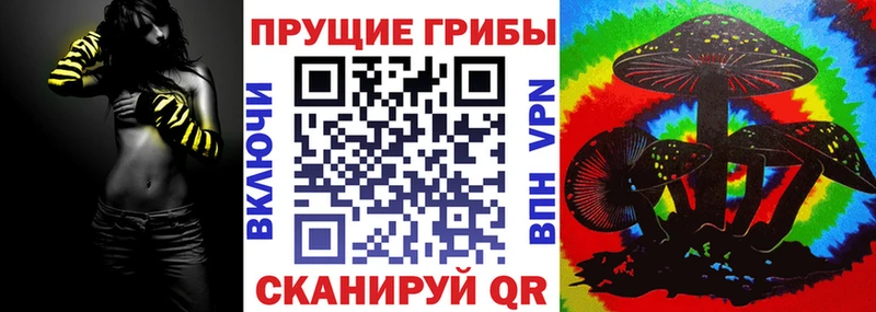Псилоцибиновые грибы MAGIC MUSHROOMS  цены наркотик  маркетплейс как зайти  Зеленогорск 