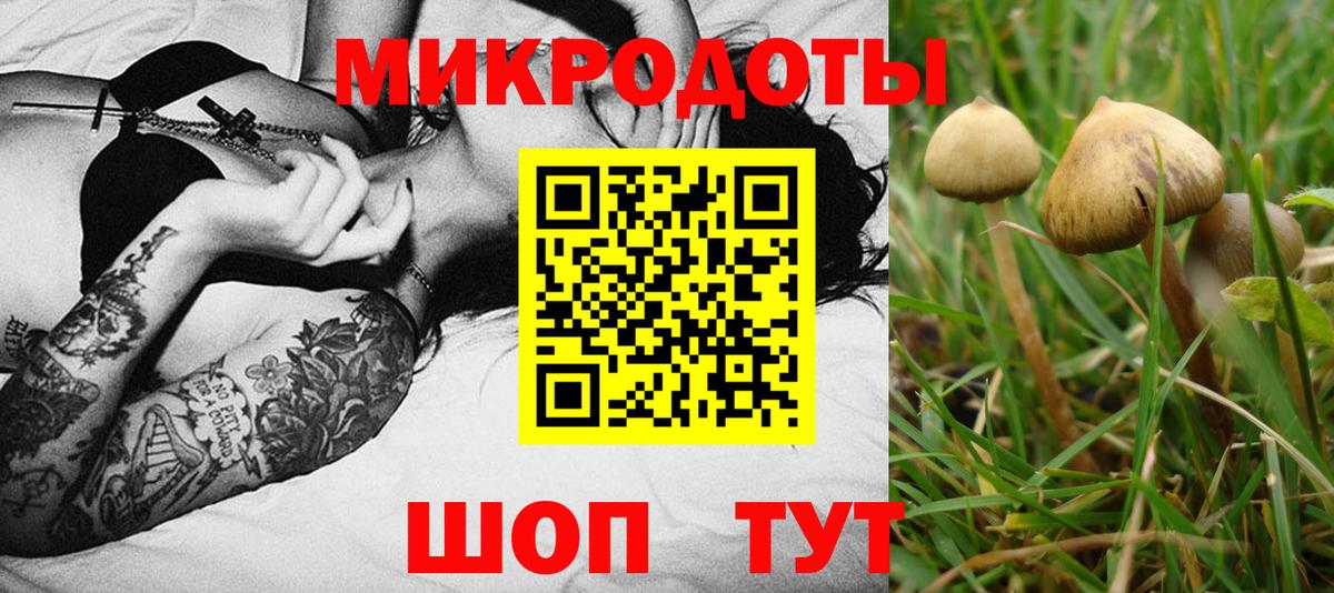 Галлюциногенные грибы MAGIC MUSHROOMS  Вход с VPN  Зеленогорск  Галлюциногенные грибы MAGIC MUSHROOMS 
