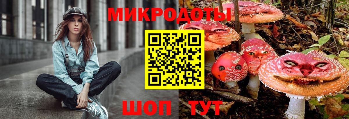 Псилоцибиновые грибы Psilocybe Зеленогорск