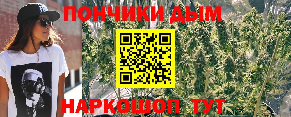 МАРИХУАНА сатива  Вход с VPN  Зеленогорск  Конопля гибрид  Шишки марихуана LSD WEED  Шишки марихуана OG Kush 